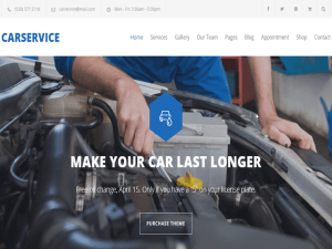 Car Dealer Website Design