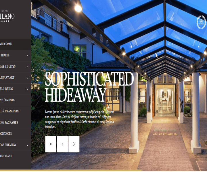Elite Hotel Website Design