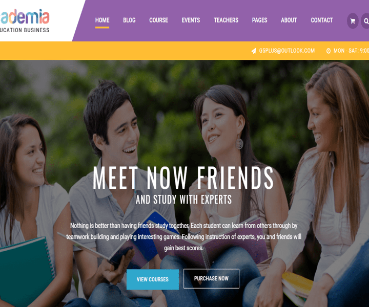 Online Education Academy Website Design