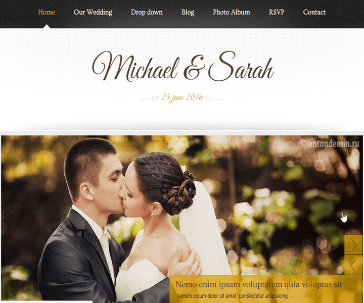 Personal Wedding Blog