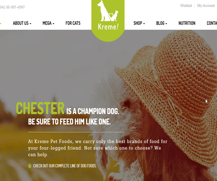Pet Food Shop website design