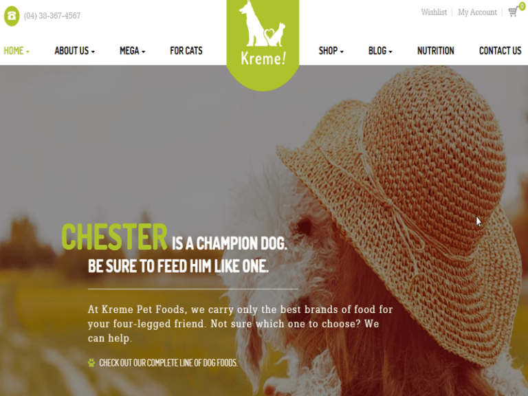 Pet Food Shop website design