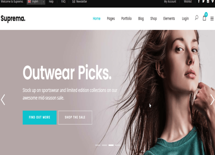 Portfolio - Sports Shop Website - Example
