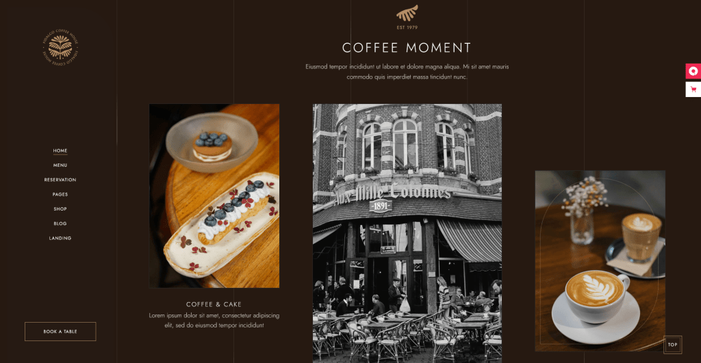 restaurant cafe website design and development project by vSolz Software Company